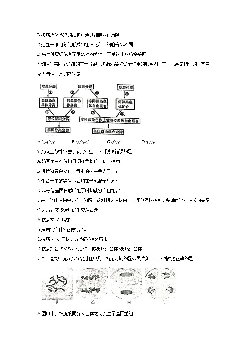 【生物】福建省厦门一中2020-2021学年高二上学期分班摸底考试试题 (1)第2页