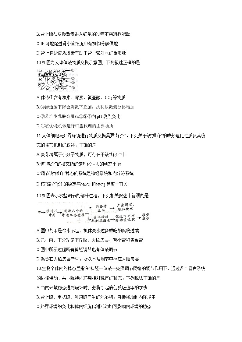 【生物】河南省豫南九校2020-2021学年高二上学期第一次联考试卷（9月）（解析版）第3页