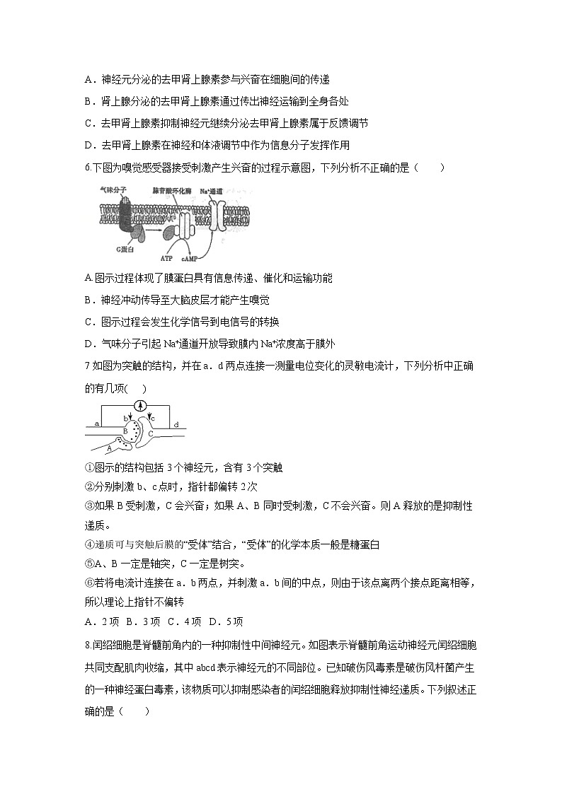 【生物】黑龙江省鹤岗市第一中学2020-2021学年高二10月月考试题第2页
