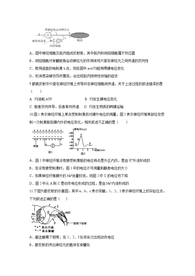 【生物】黑龙江省鹤岗市第一中学2020-2021学年高二10月月考试题第3页