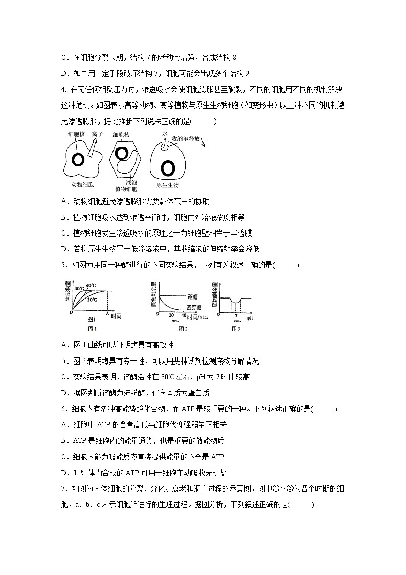【生物】江西省赣州市南康中学2020-2021学年高二上学期第一次大考试题02