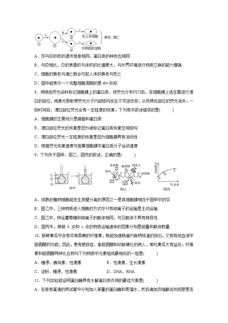 【生物】江西省赣州市南康中学2020-2021学年高二上学期第一次大考试题03