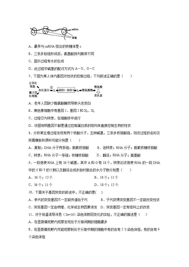 【生物】吉林省白城市洮南市第一中学2020-2021学年高二上学期第一次月考试题试卷02