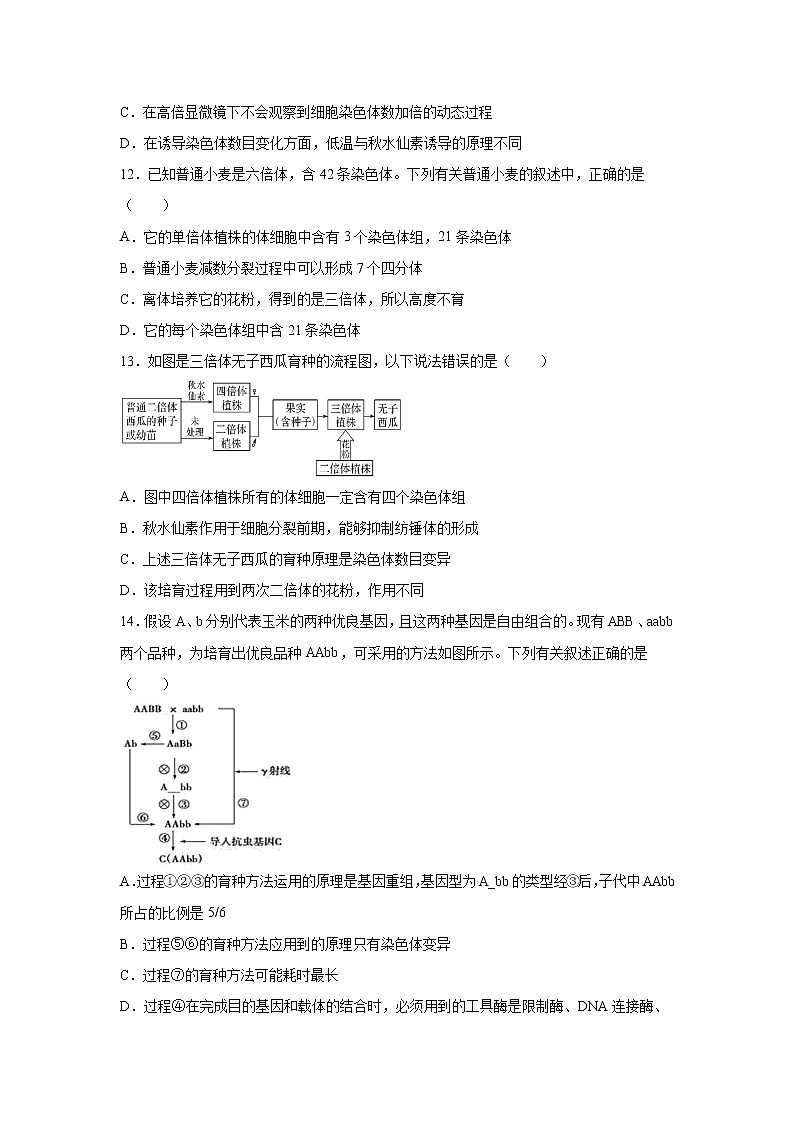 【生物】吉林省白城市洮南市第一中学2020-2021学年高二上学期第一次月考试题试卷03