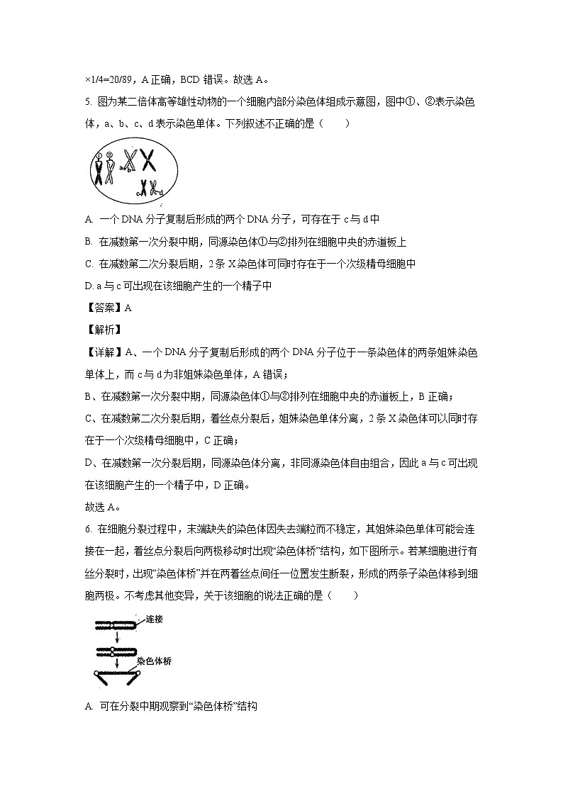 【生物】山东省聊城市九校2020-2021学年高二上学期第一次开学联考试题（解析版）第3页
