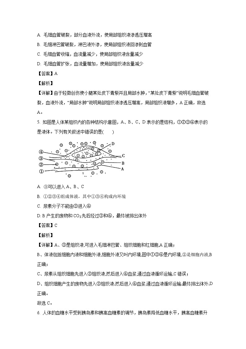 【生物】云南省丽江市一中2020-2021学年高二9月月考试题（解析版）第2页