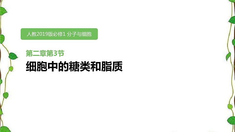 人教版（2019）高中生物必修1第二章第三节《细胞中的糖类和脂质》（共17张ppt）01