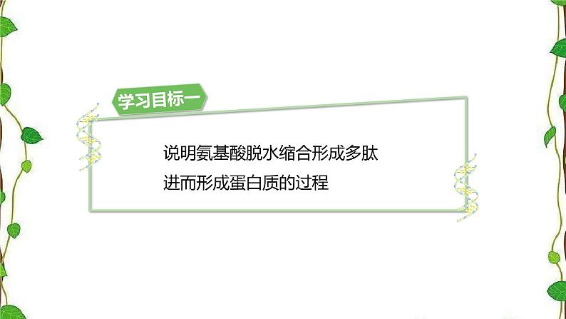 人教版（2019）高中生物必修1第二章第四节《蛋白质是生命活动的主要承担者》第二课时（共13张ppt）04