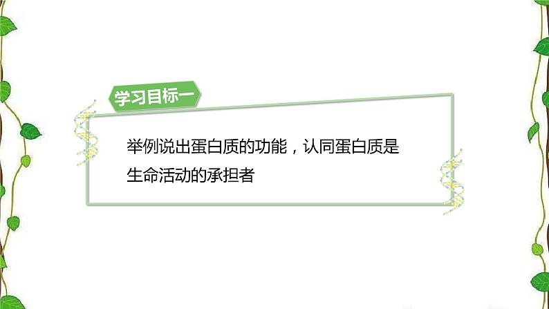 人教版（2019）高中生物必修1第二章第四节《蛋白质是生命活动的主要承担者》第一课时（共18张ppt）04