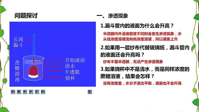 人教版（2019）高中生物必修1第四章第一节《被动运输》第一课时（共15张ppt）05