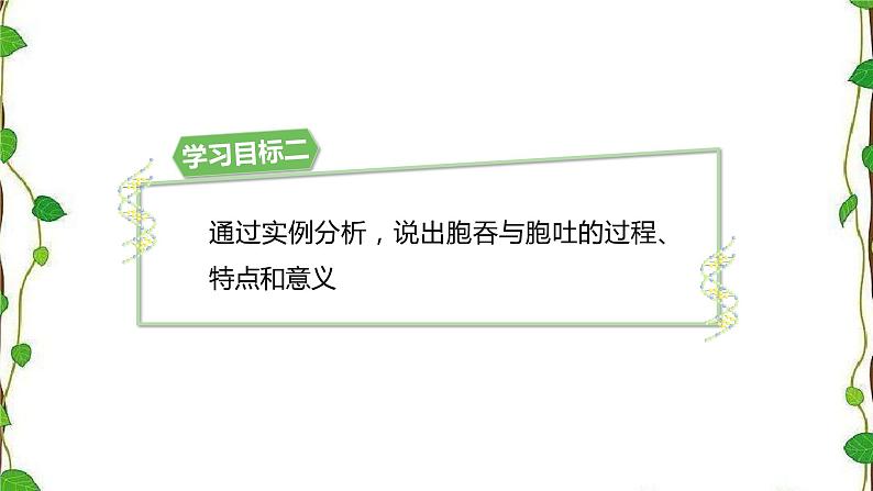 人教版（2019）高中生物必修1第四章第二节《主动运输与胞吞、胞吐》（共16张ppt）07