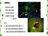 人教版（2019）高中生物必修1第五章第二节《细胞中的能量”货币“ATP》（共19张ppt）