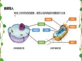 人教版（2019）高中生物必修1第一章第二节《细胞的多样性和统一性》第二课时（共15张ppt）