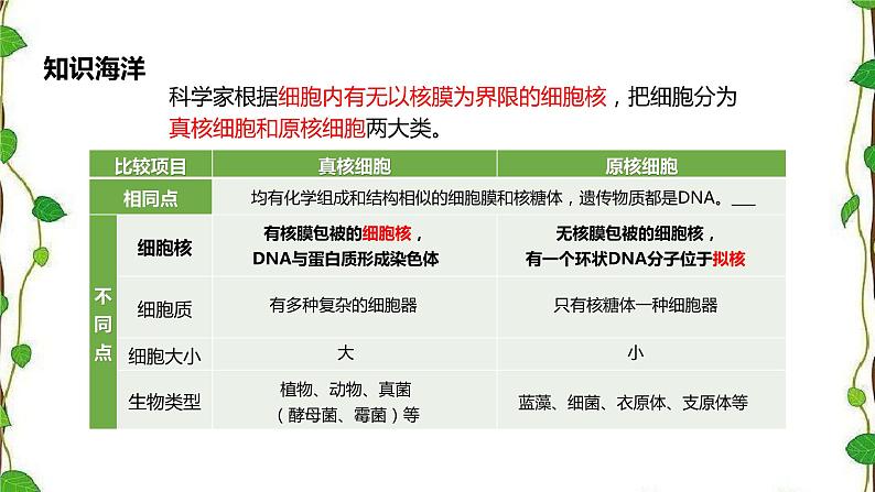 人教版（2019）高中生物必修1第一章第二节《细胞的多样性和统一性》第二课时（共15张ppt）06