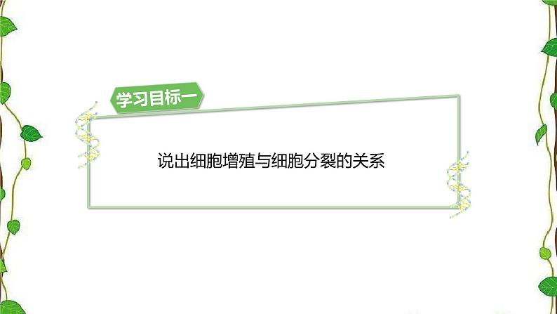 人教版（2019）高中生物必修1第六章第一节《细胞的增殖》第一课时（共19张ppt）04