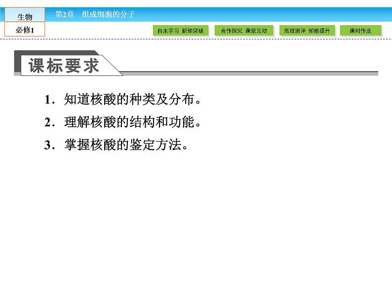 （人教版）高中生物必修一：2.3《遗传信息的携带者——核酸》课件（共45 张PPT）03