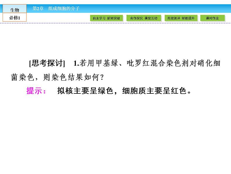 （人教版）高中生物必修一：2.3《遗传信息的携带者——核酸》课件（共45 张PPT）05