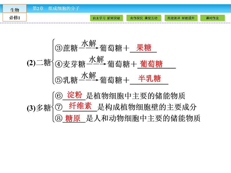 （人教版）高中生物必修一：2.4《细胞中的糖类和脂质》课件（共47 张PPT）06