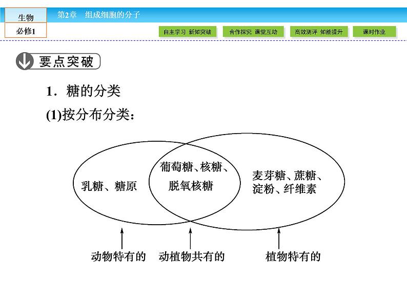 （人教版）高中生物必修一：2.4《细胞中的糖类和脂质》课件（共47 张PPT）08