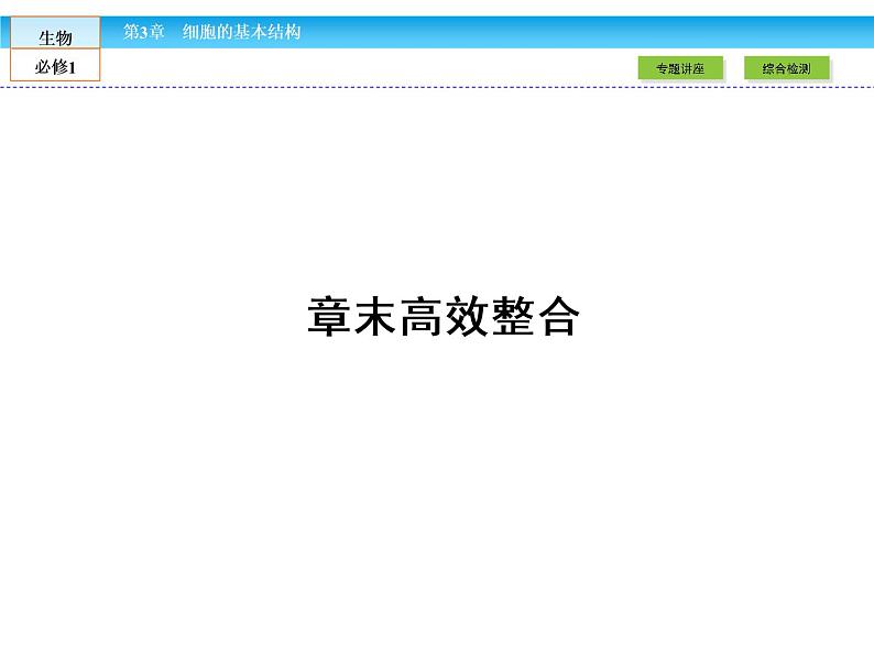 （人教版）高中生物必修一：第3章-全章章末高效整合精讲课件（共 16张PPT）02