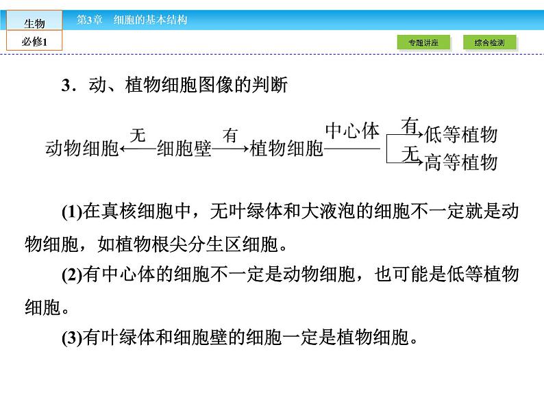 （人教版）高中生物必修一：第3章-全章章末高效整合精讲课件（共 16张PPT）05