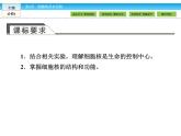 （人教版）高中生物必修一：3.3《细胞核——系统的控制中心》课件（共42 张PPT）