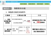（人教版）高中生物必修一：3.3《细胞核——系统的控制中心》课件（共42 张PPT）