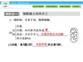 （人教版）高中生物必修一：3.2《细胞器——系统内的分工合作》课件（共 78张PPT）