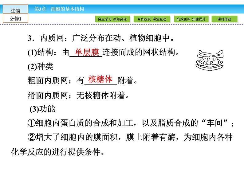 （人教版）高中生物必修一：3.2《细胞器——系统内的分工合作》课件（共 78张PPT）06