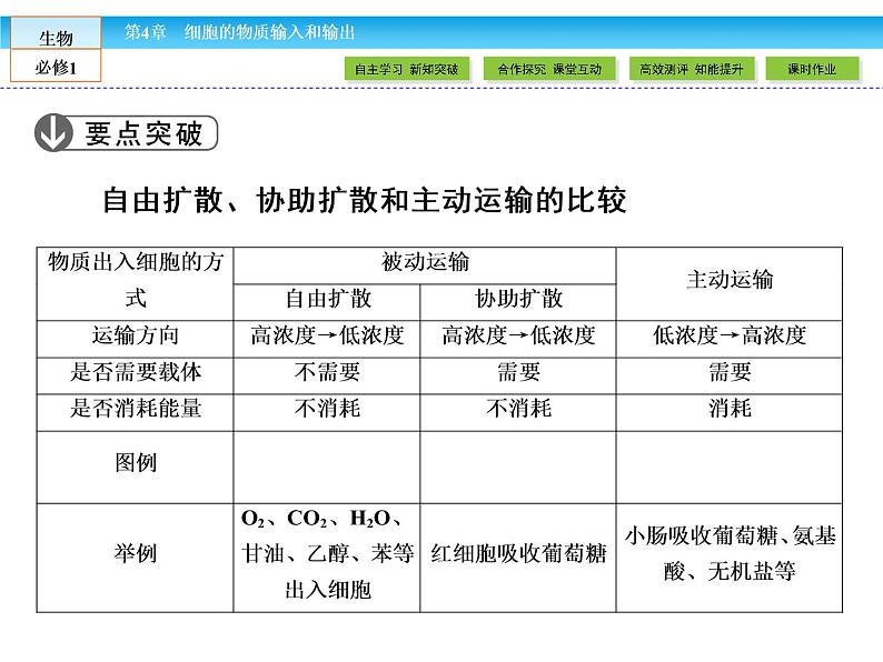 （人教版）高中生物必修一：4.3《物质跨膜运输的方式》课件（共48 张PPT）07