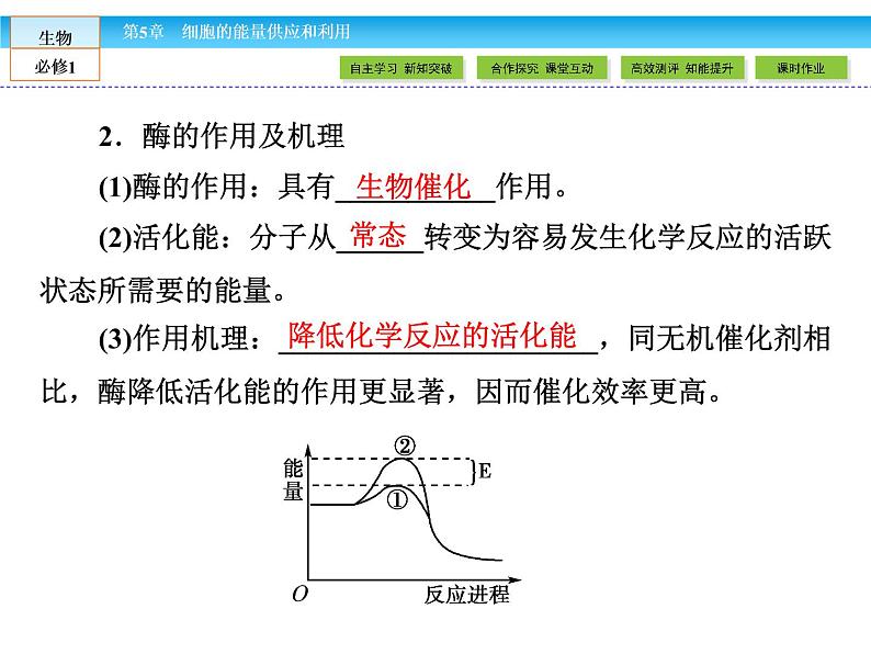 （人教版）高中生物必修一：5.1《降低化学反应活化能的酶》课件（共68 张PPT）06