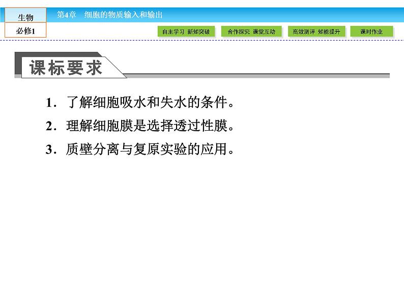 （人教版）高中生物必修一：4.1《物质跨膜运输的实例》课件（共57 张PPT）04