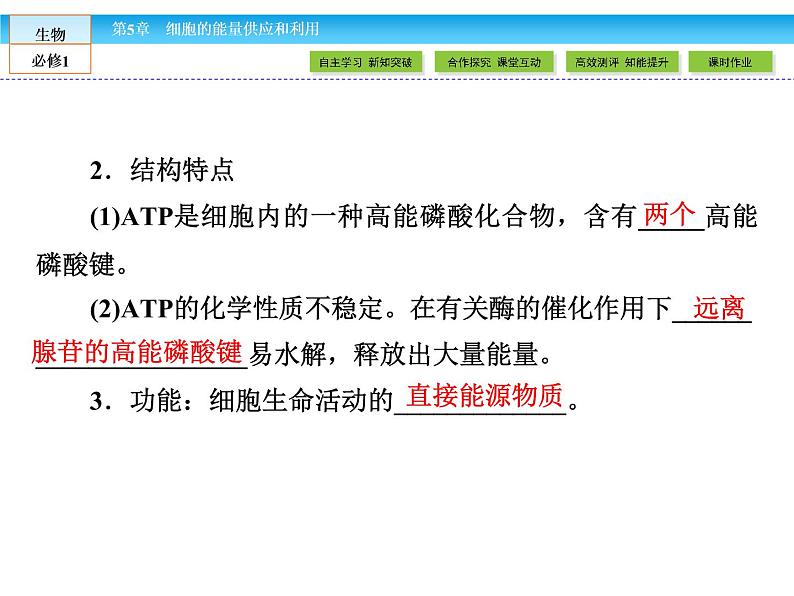 （人教版）高中生物必修一：5.2细胞的能量“通货”-ATP课件（共41 张PPT）05