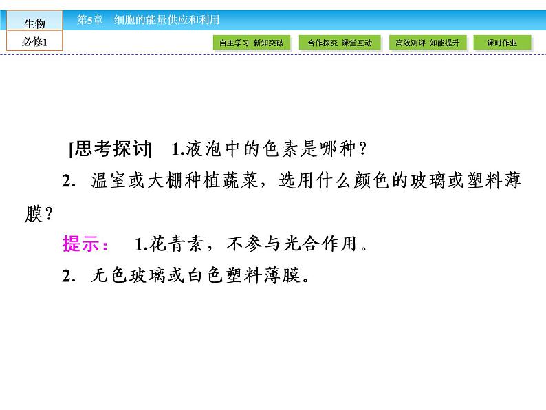 （人教版）高中生物必修一：5.4《捕获光能的色素和结构》课件（共45 张PPT）06