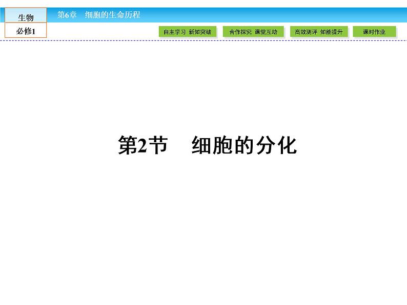 （人教版）高中生物必修一：6.2《细胞的分化》课件（共47 张PPT）01