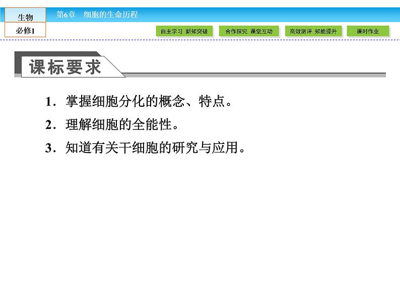 （人教版）高中生物必修一：6.2《细胞的分化》课件（共47 张PPT）03