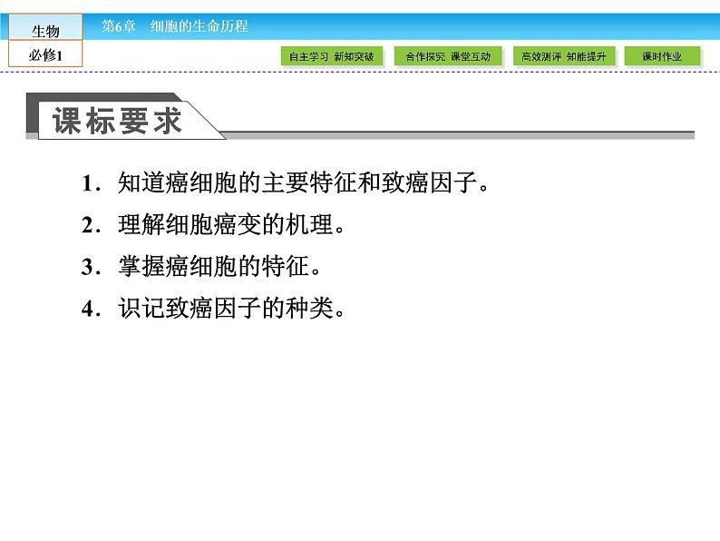 （人教版）高中生物必修一：6.4《细胞的癌变》课件（共37 张PPT）03