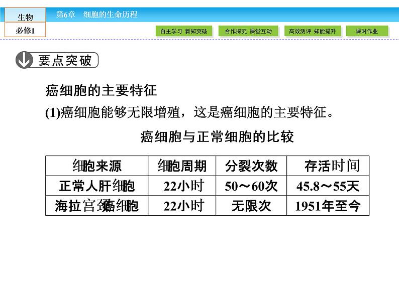 （人教版）高中生物必修一：6.4《细胞的癌变》课件（共37 张PPT）07