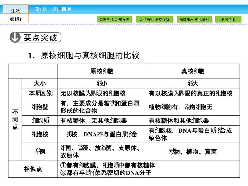 （人教版）高中生物必修一：1.2《细胞的多样性和统一性》课件（共 59张PPT）第8页