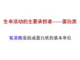 高一生物人教版必修一课件 2.2生命活动的主要承担者——蛋白质课件（共23 张PPT）