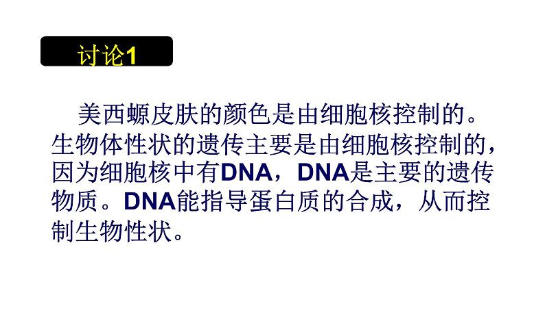 高一生物人教版必修一课件：3.3细胞核——系统的控制中心课件（共35 张PPT）07