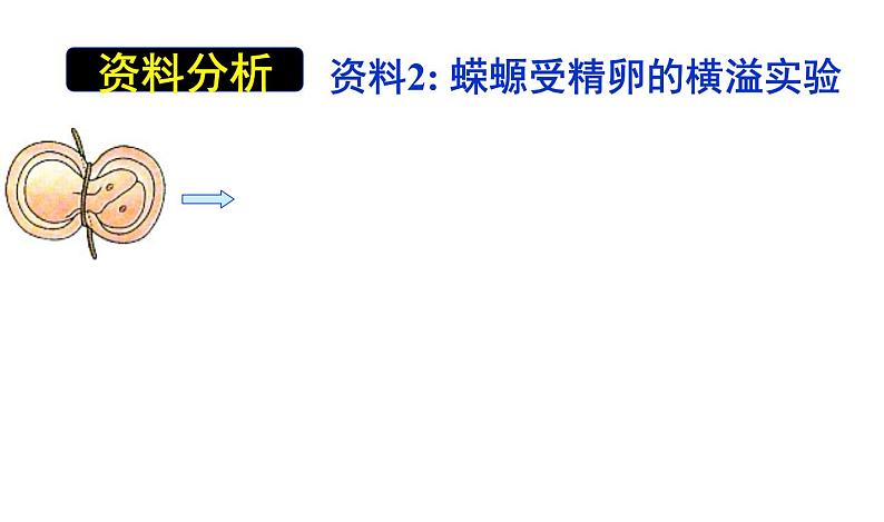 高一生物人教版必修一课件：3.3细胞核——系统的控制中心课件（共35 张PPT）08