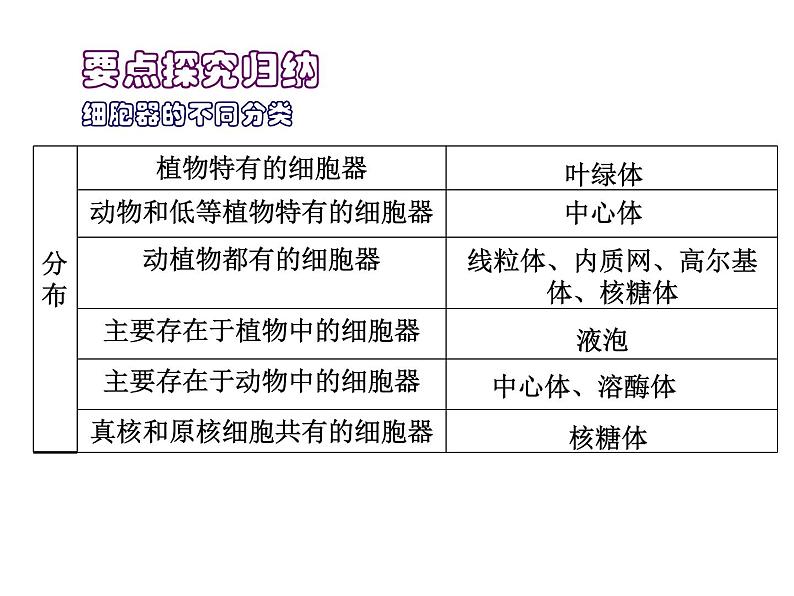 高一生物人教版必修一课件： 3.2 细胞器--系统内的分工合作课件（共34 张PPT）04