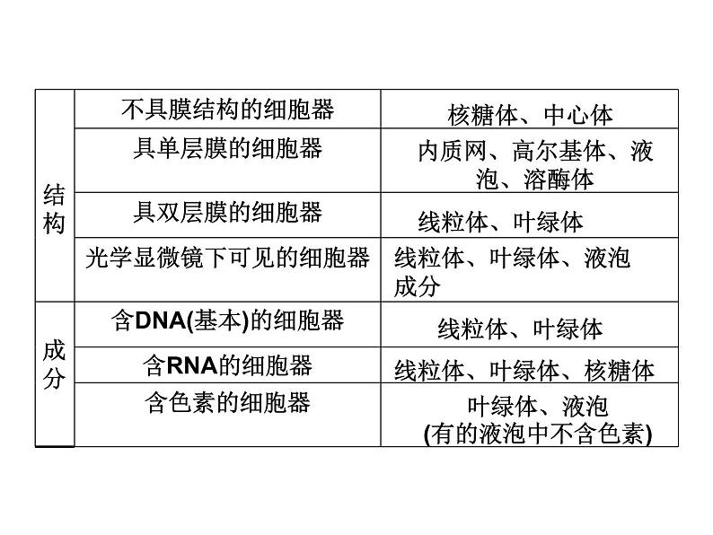 高一生物人教版必修一课件： 3.2 细胞器--系统内的分工合作课件（共34 张PPT）05