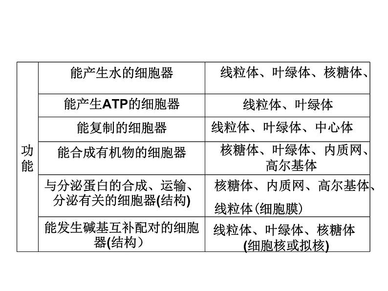 高一生物人教版必修一课件： 3.2 细胞器--系统内的分工合作课件（共34 张PPT）06