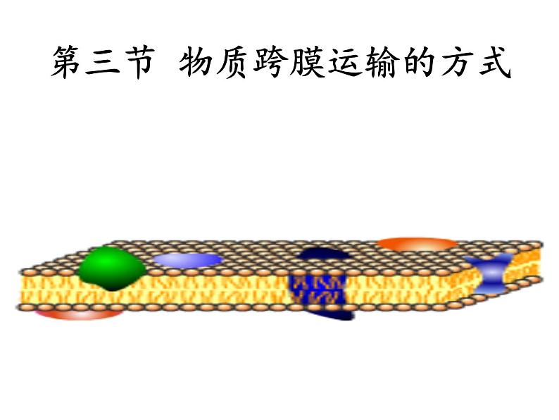 高一生物人教版必修一课件：4.3物质跨膜运输的方式课件（共24 张PPT）01