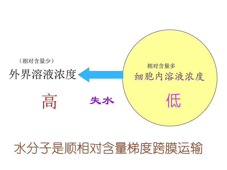 高一生物人教版必修一课件：4.3物质跨膜运输的方式课件（共24 张PPT）04