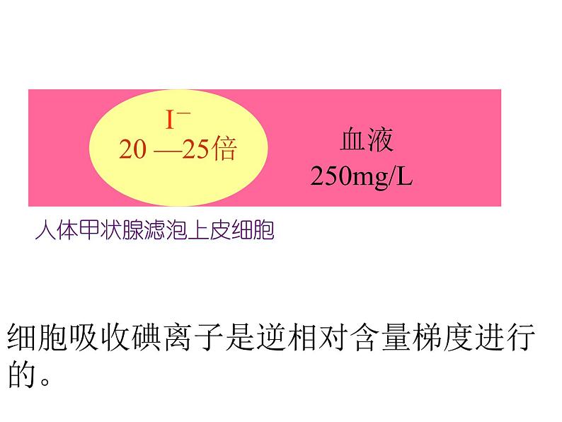 高一生物人教版必修一课件：4.3物质跨膜运输的方式课件（共24 张PPT）05