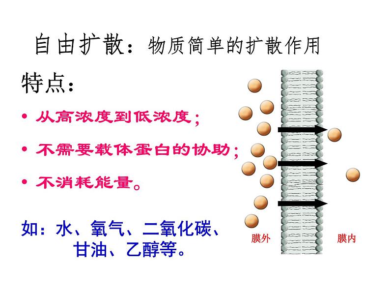 高一生物人教版必修一课件：4.3物质跨膜运输的方式课件（共24 张PPT）08