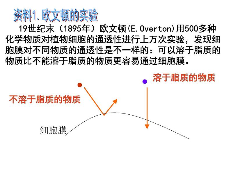 高一生物人教版必修一课件：4.2生物膜的流动镶嵌模型课件（共28 张PPT）02